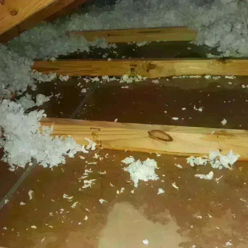 Attic Water Damage in Powderly, TX